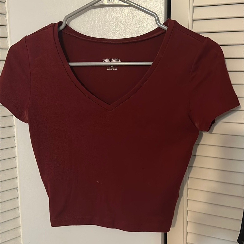 Wild Fable V-neck Maroon T-Shirt
